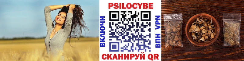 Псилоцибиновые грибы Magic Shrooms  Сызрань 